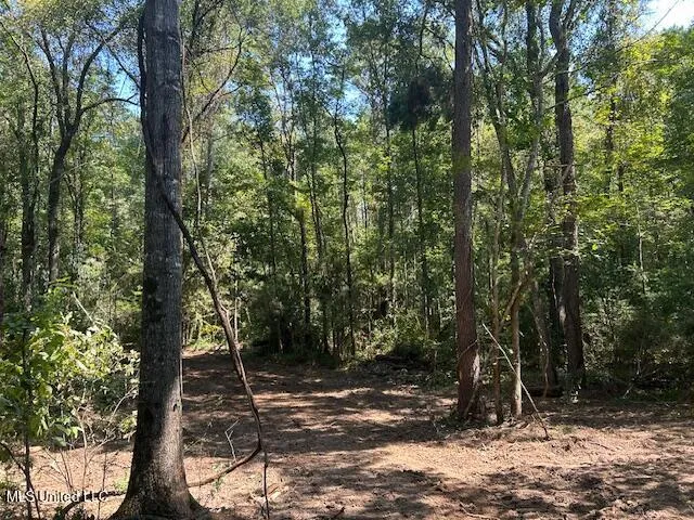 $230,000 | 0 Charlie Rhodus Road, Magnolia, MS 39652