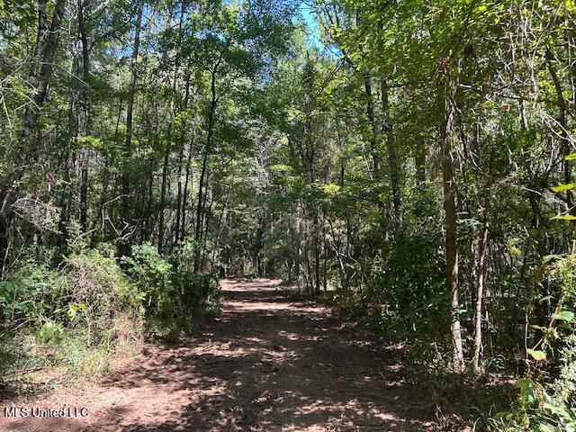 0 Charlie Rhodus Road Magnolia, MS 39652 - Photo 10 of 42 IMG_1392