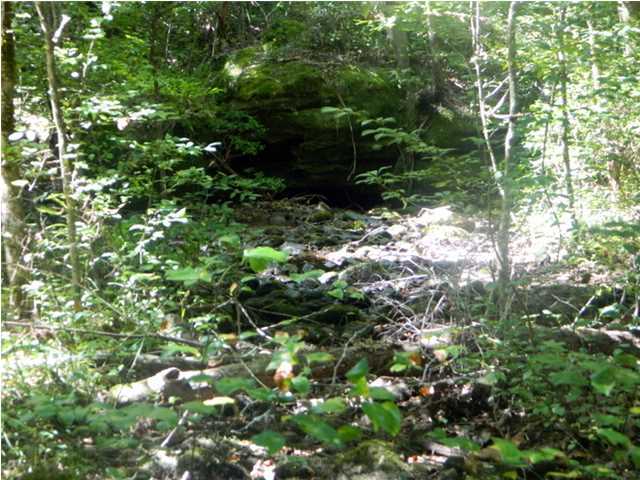0 Holder Loop Menlo, GA 30731 - Photo 3 of 12 Additional Photo