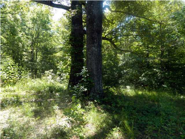0 Holder Loop Menlo, GA 30731 - Photo 5 of 12 Additional Photo