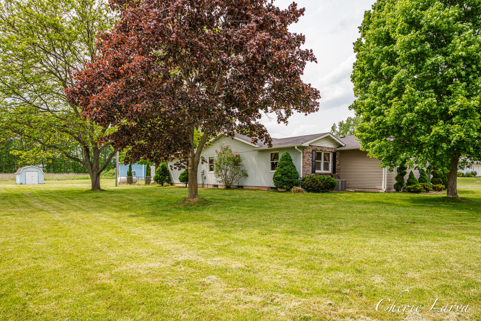 317 Long Road Sand Lake, MI 49343 - Photo 4 of 33 317 Long St-33
