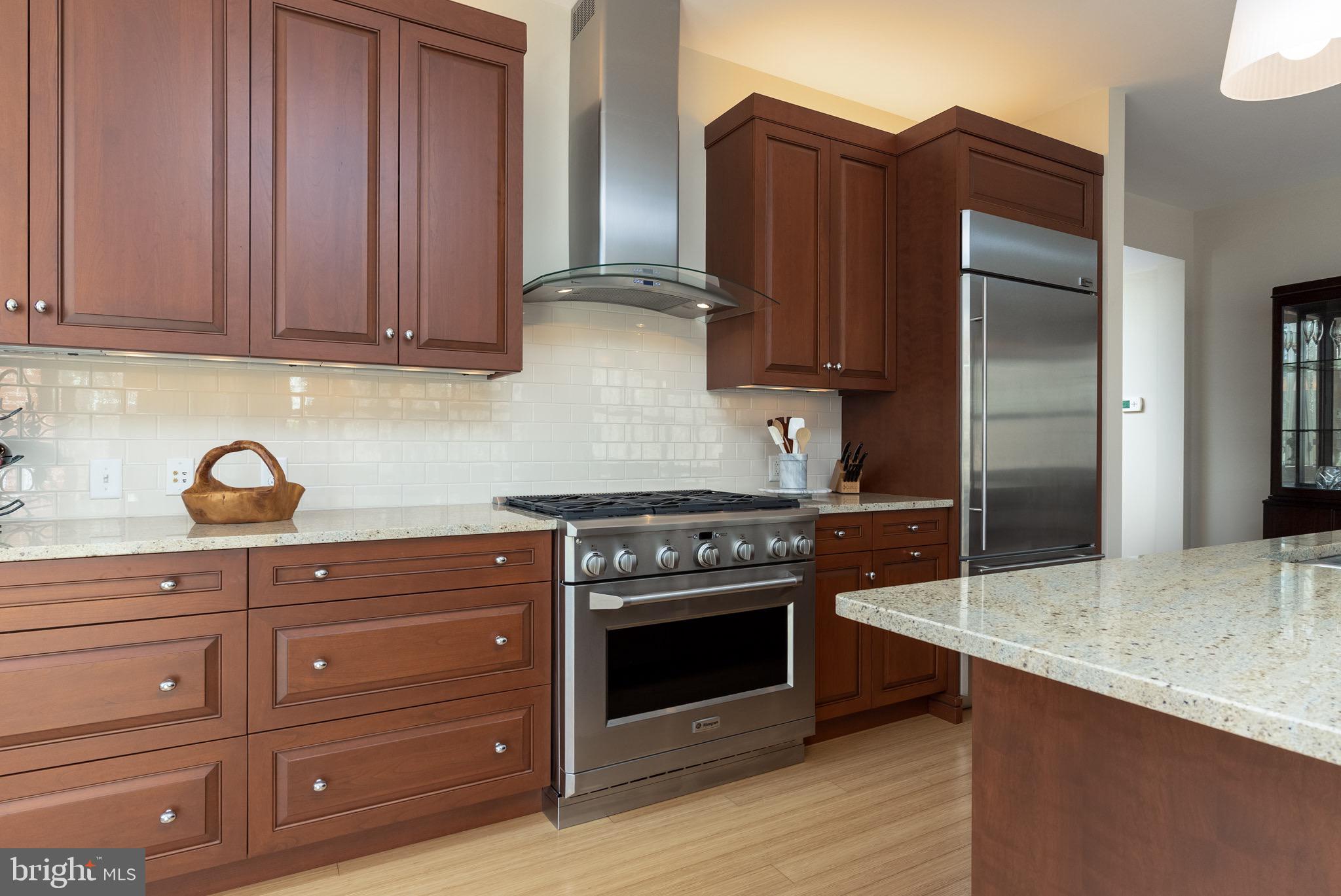 226 Iron Works Way Wayne, PA 19087 - Photo 13 of 30 Kitchen