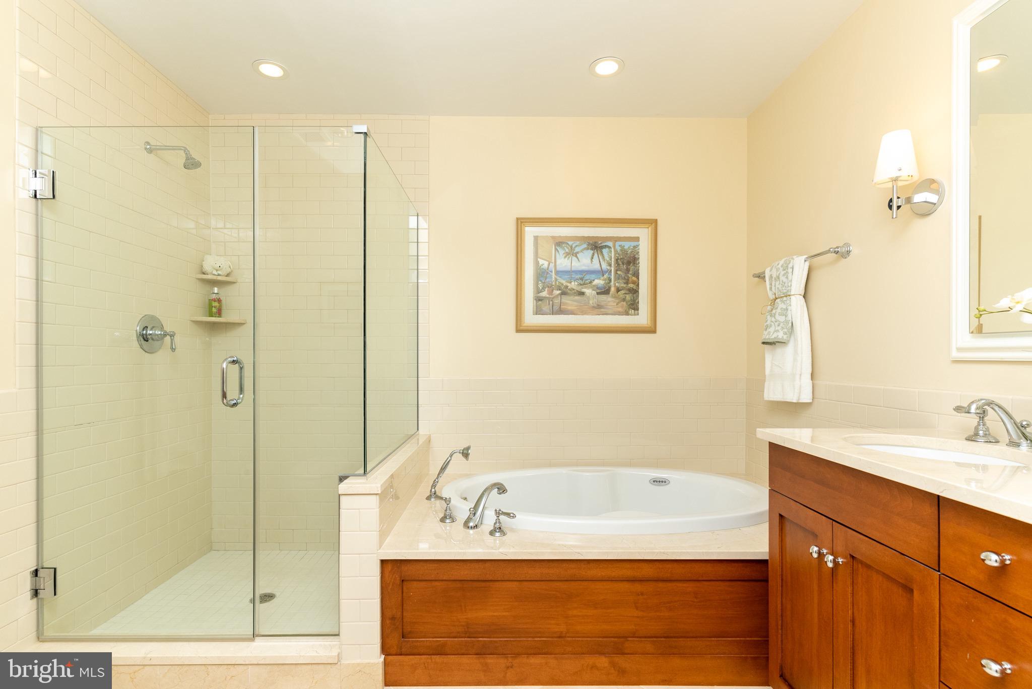 226 Iron Works Way Wayne, PA 19087 - Photo 21 of 30 Owner's Bath