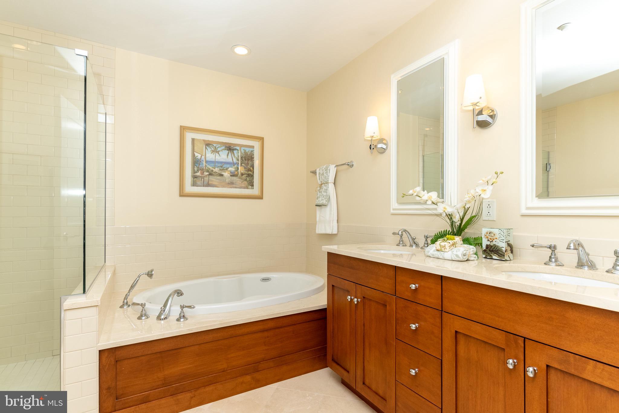 226 Iron Works Way Wayne, PA 19087 - Photo 22 of 30 Owner's Bath