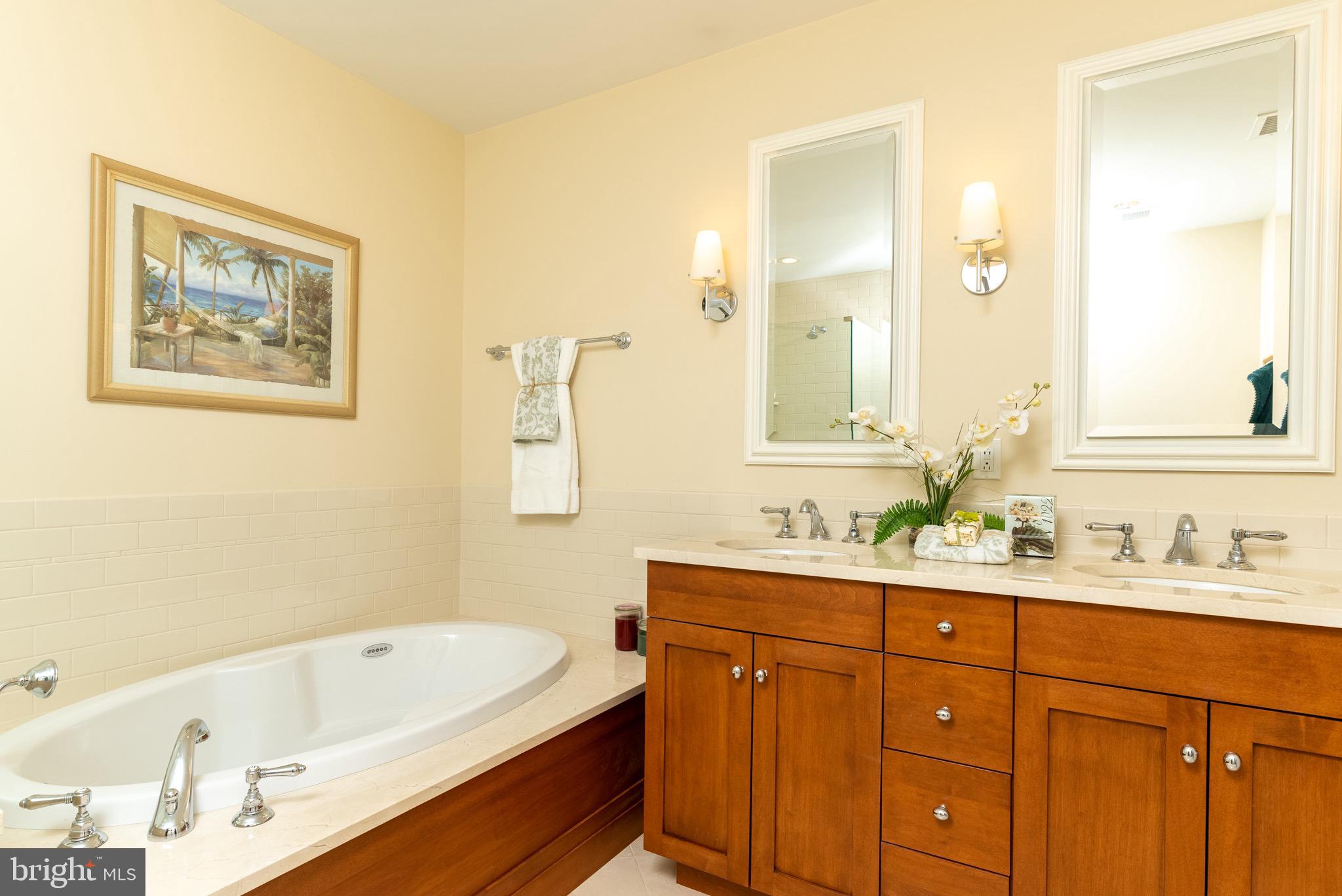 226 Iron Works Way Wayne, PA 19087 - Photo 23 of 30 Owner's Bath