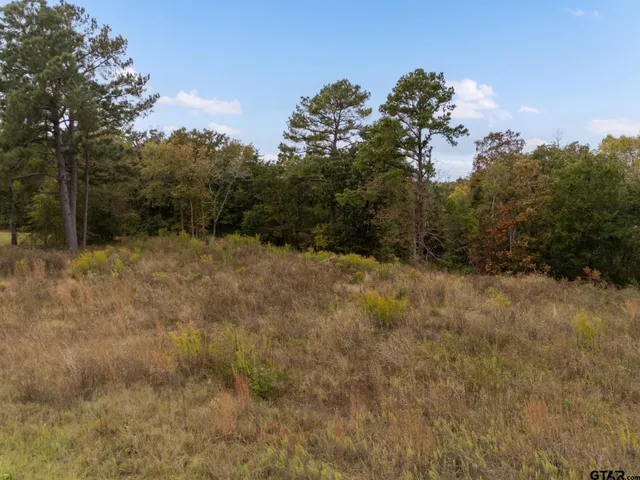 $60,000 | 2173 Highland Place, Whitehouse, TX 75791