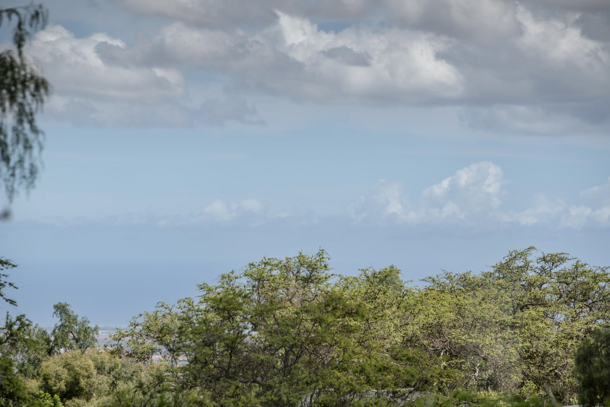 1298 Naalae Road, Unit B Kula, HI 96790 - Photo 23 of 33