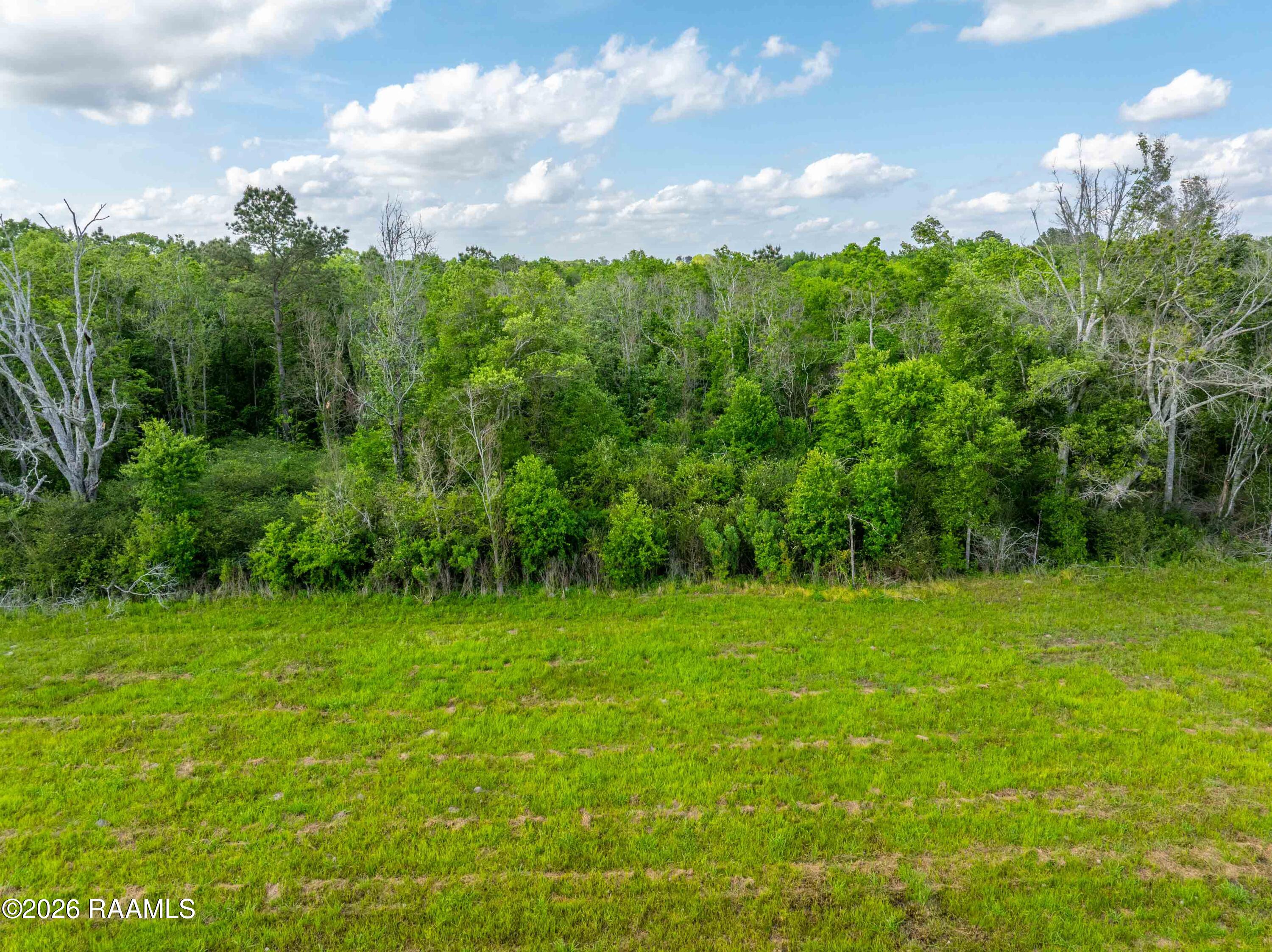 700 Bosco Highway Church Point, LA 70525 - Photo 17 of 18 TBDBoscoHwy-13