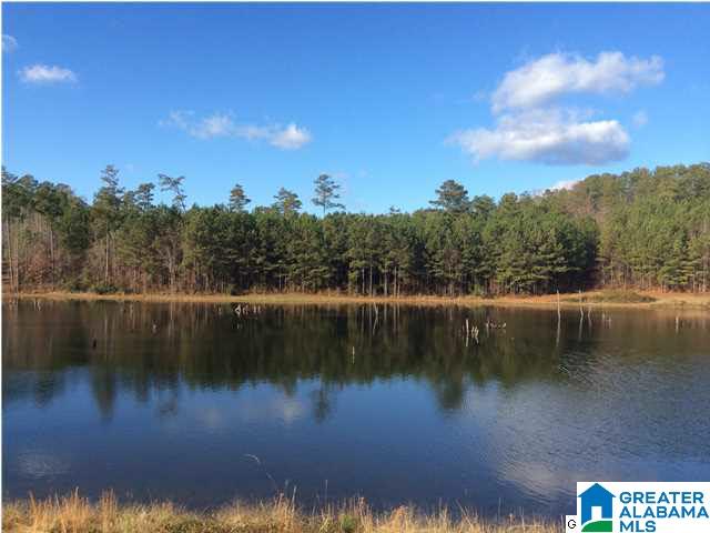 48 Bells Lane, Unit 48 Springville, AL 35146 - Photo 1 of 6