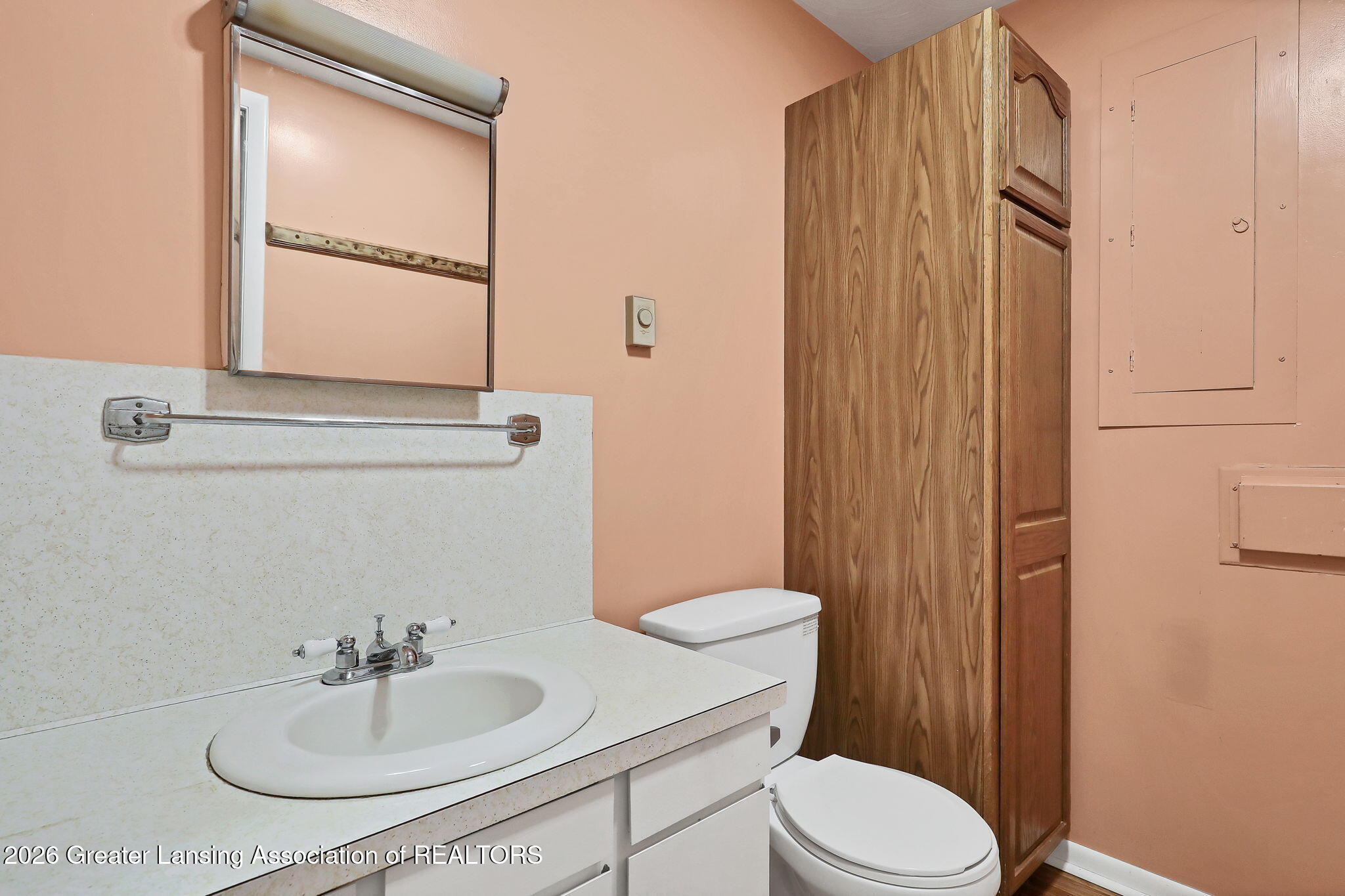 916 North Ainger Road Charlotte, MI 48813 - Photo 25 of 43 30-web-or-mls-9I3A0472