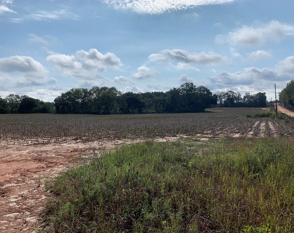0 St Stephens Road Slocomb, AL 36375 - Photo 7 of 7