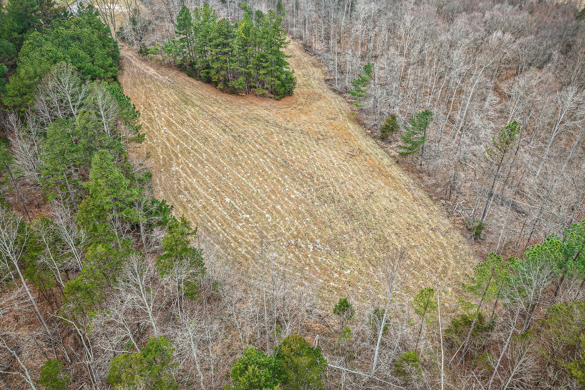 2 Johnson Chapel Road Sparta, TN 38583 - Photo 6 of 15