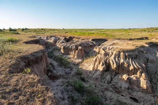 a view of beach and an ocean