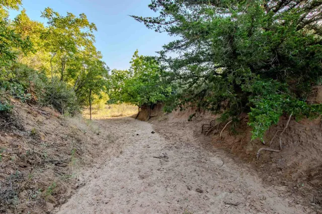 a view of an ocean and beach