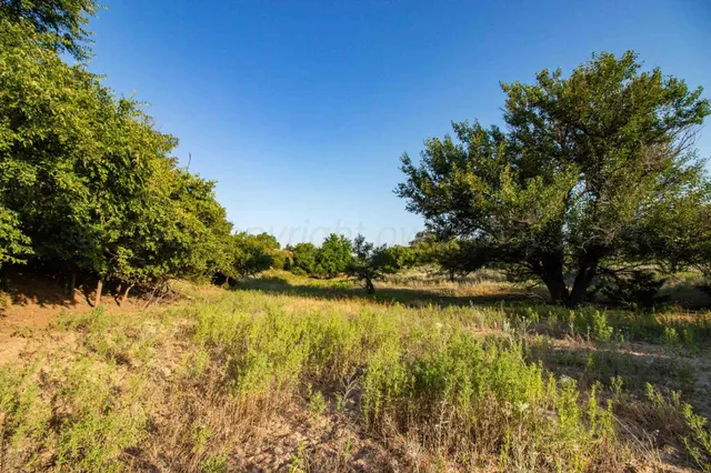 a view of a swimming pool with an ocean beach