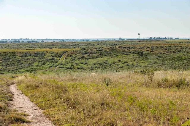 a view of beach and ocean