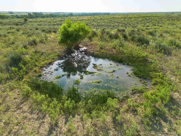 a view of a green field with lots of bushes