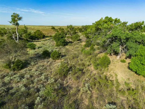 a view of a field with an ocean and trees