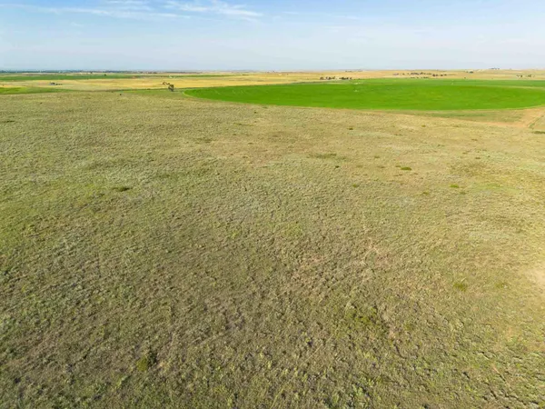 a view of an ocean and beach