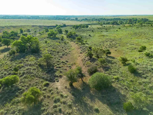 a view of a green field with lots of trees