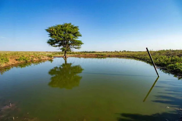 a close up of a plant in a garden
