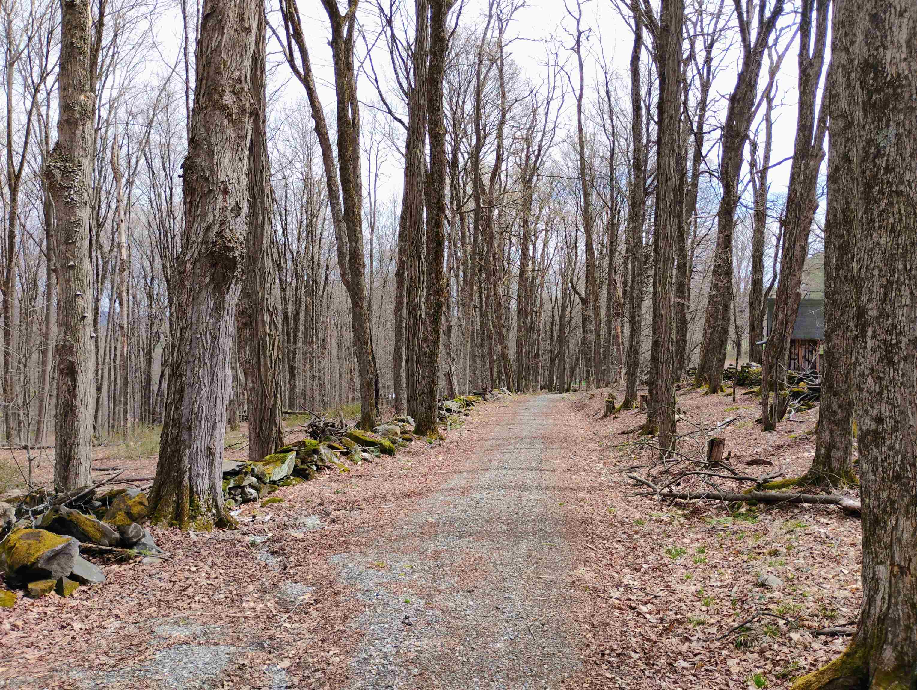 Lot 1 Faraway (jones) Road Putney, VT 05346 - Photo 1 of 18