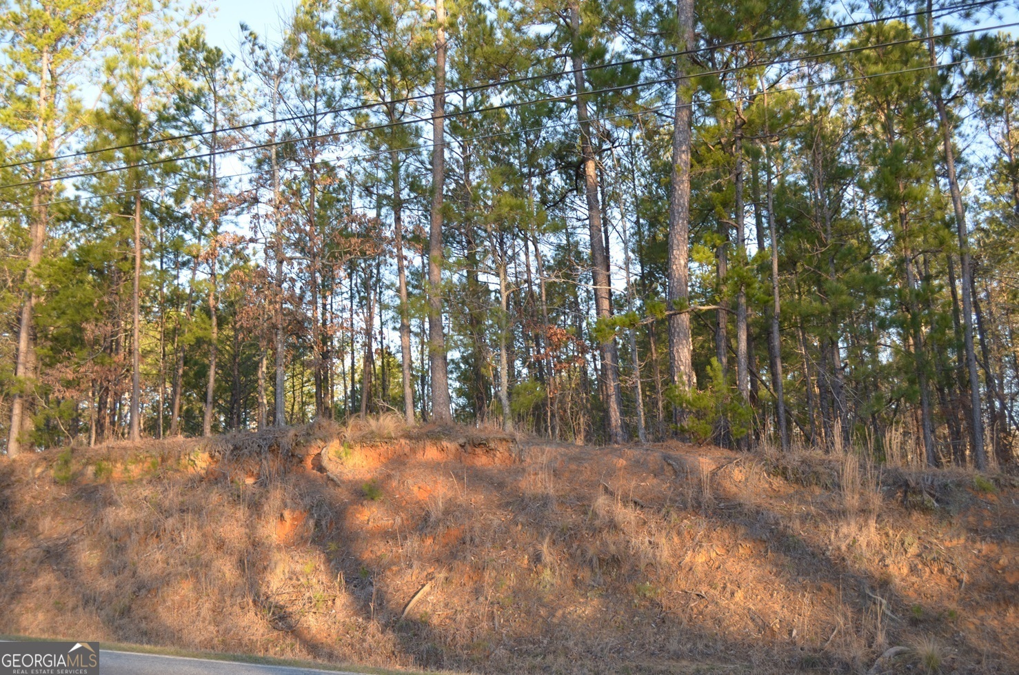 Lot A-1 Pate Road Juliette, GA 31046 - Photo 1 of 1 Gallery Image 1