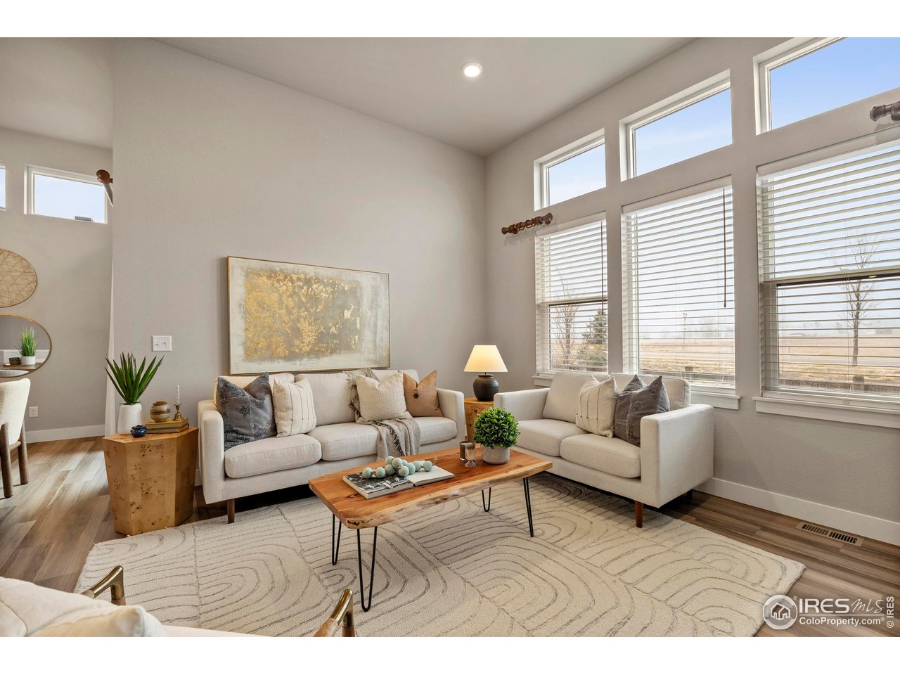 6752 Castello Street Timnath, CO 80547 - Photo 17 of 44 Living Room