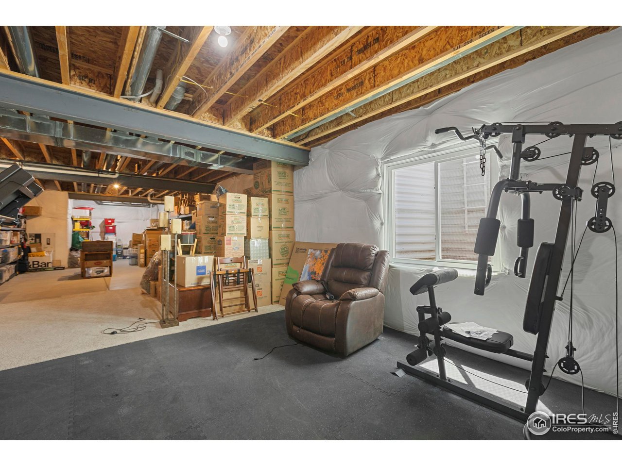 6752 Castello Street Timnath, CO 80547 - Photo 32 of 44 Large Storage