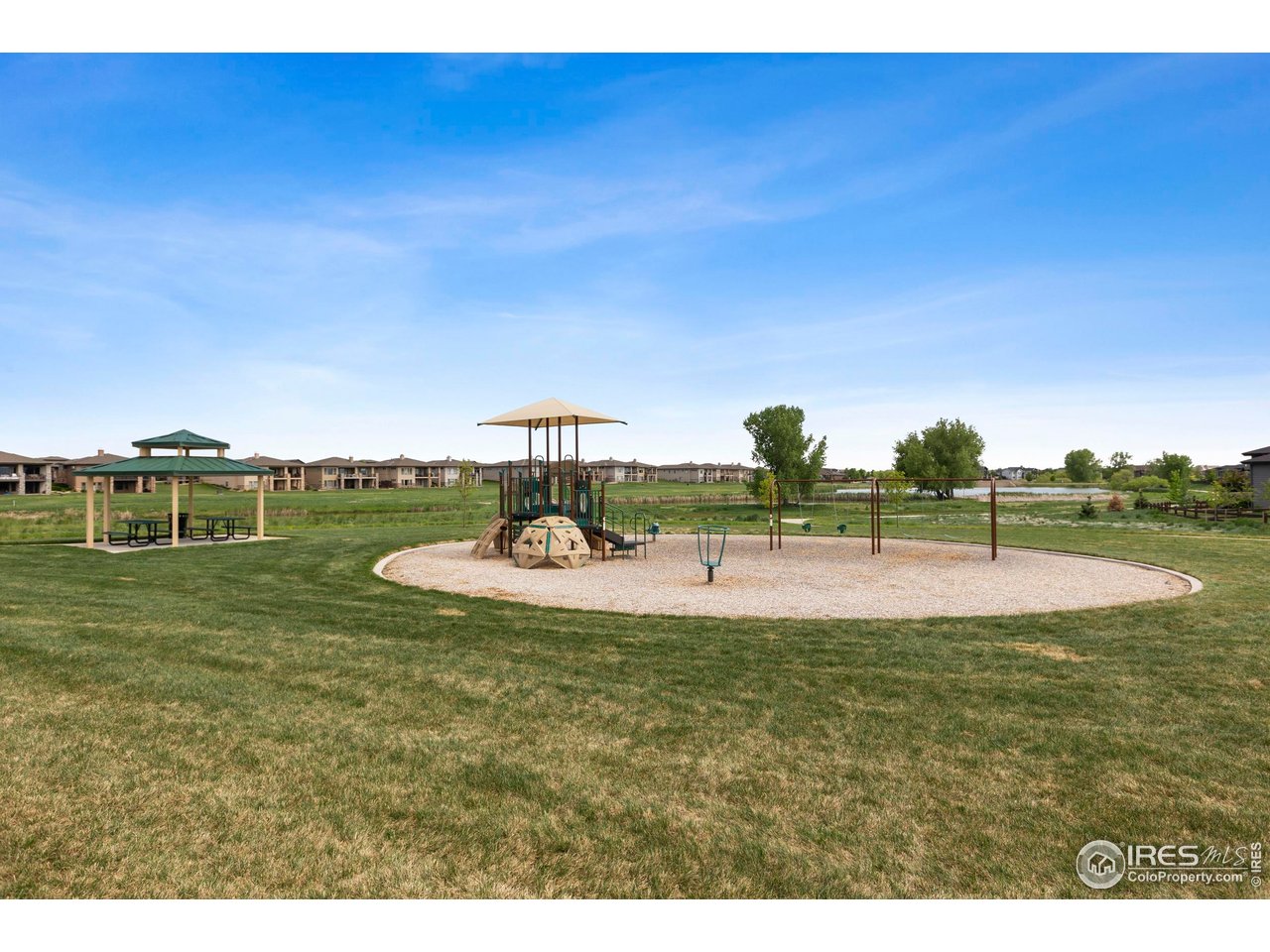 6752 Castello Street Timnath, CO 80547 - Photo 41 of 44