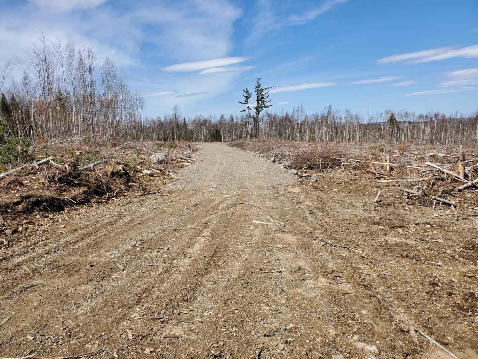210-ac Crowe Road Cooper, ME 04657 - Photo 8 of 9 20210428_125722