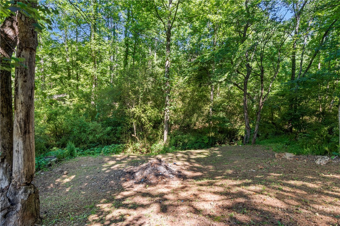 848 Huffman River Lane Purlear, NC 28665 - Photo 27 of 27