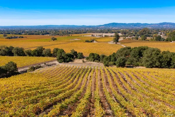 $1,498,800 | 1276 Jensen Lane, Unit LOT 2, Windsor, CA 95492