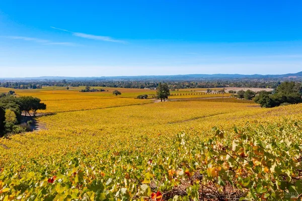 $1,498,800 | 1276 Jensen Lane, Unit LOT 2, Windsor, CA 95492