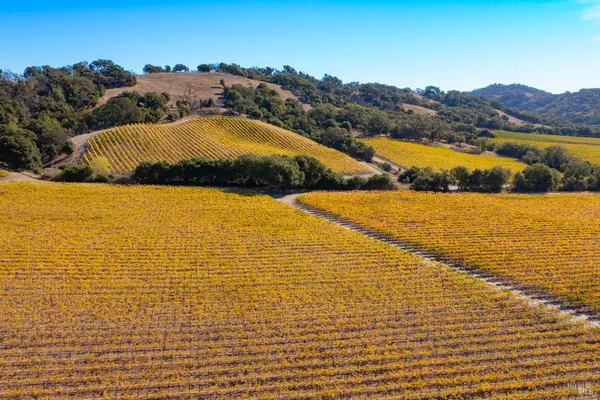 $1,498,800 | 1276 Jensen Lane, Unit LOT 2, Windsor, CA 95492