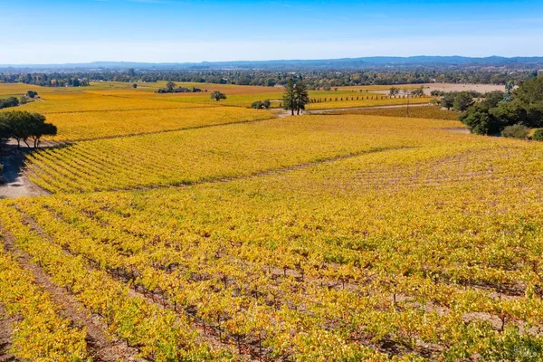 $1,498,800 | 1276 Jensen Lane, Unit LOT 2, Windsor, CA 95492