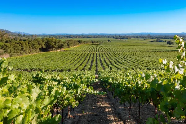 $1,498,800 | 1276 Jensen Lane, Unit LOT 2, Windsor, CA 95492