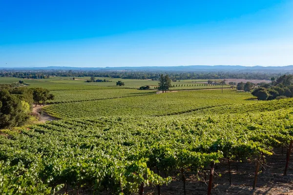 $1,498,800 | 1276 Jensen Lane, Unit LOT 2, Windsor, CA 95492