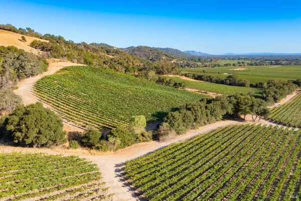 $1,498,800 | 1276 Jensen Lane, Unit LOT 2, Windsor, CA 95492