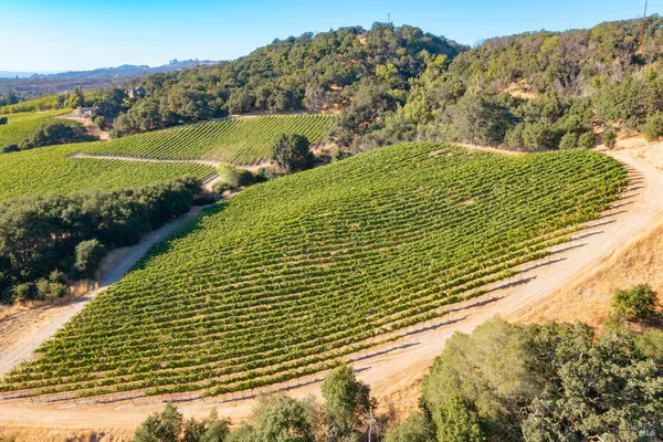 $1,498,800 | 1276 Jensen Lane, Unit LOT 2, Windsor, CA 95492