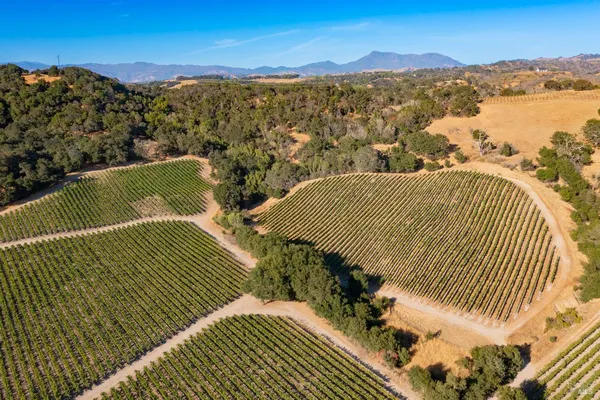 $1,498,800 | 1276 Jensen Lane, Unit LOT 2, Windsor, CA 95492