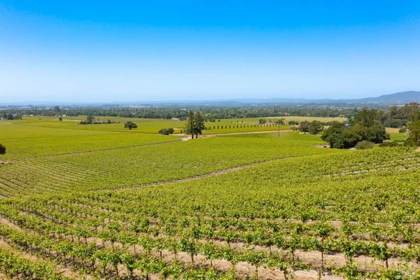 $1,498,800 | 1276 Jensen Lane, Unit LOT 2, Windsor, CA 95492