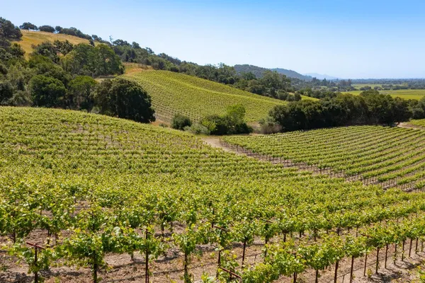 $1,498,800 | 1276 Jensen Lane, Unit LOT 2, Windsor, CA 95492