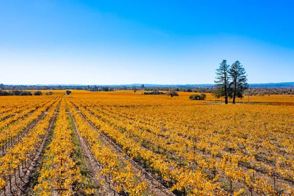 $1,498,800 | 1276 Jensen Lane, Unit LOT 2, Windsor, CA 95492