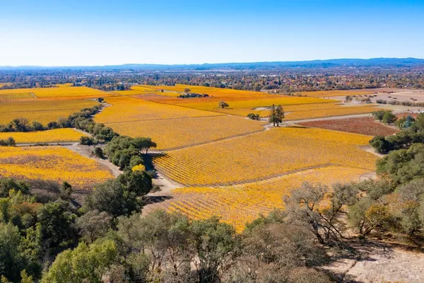 $1,498,800 | 1276 Jensen Lane, Unit LOT 2, Windsor, CA 95492