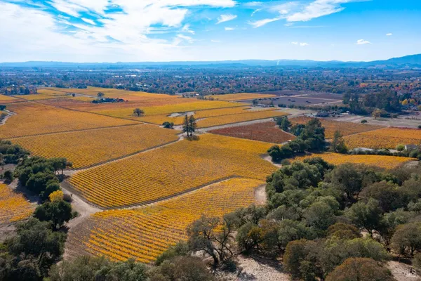 $1,498,800 | 1276 Jensen Lane, Unit LOT 2, Windsor, CA 95492