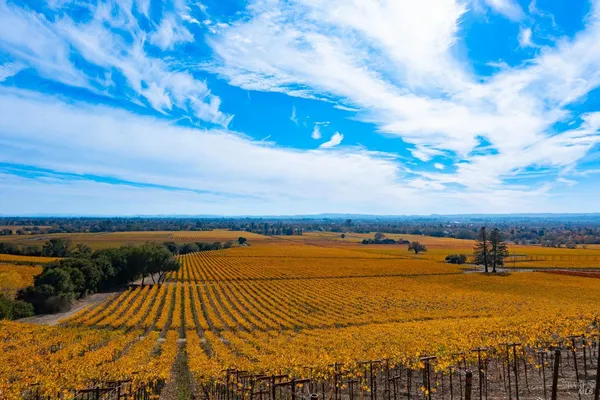 $1,498,800 | 1276 Jensen Lane, Unit LOT 2, Windsor, CA 95492