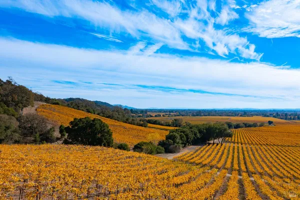 $1,498,800 | 1276 Jensen Lane, Unit LOT 2, Windsor, CA 95492