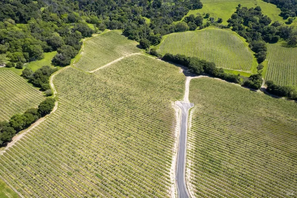 $1,498,800 | 1276 Jensen Lane, Unit LOT 2, Windsor, CA 95492