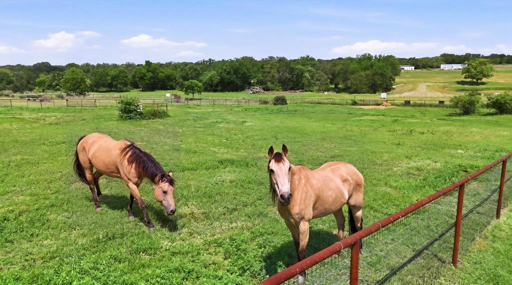 120 Grace Vw Road Weatherford, TX 76088 - Photo 39 of 40 Enjoy the neighbors horses or bring your own!